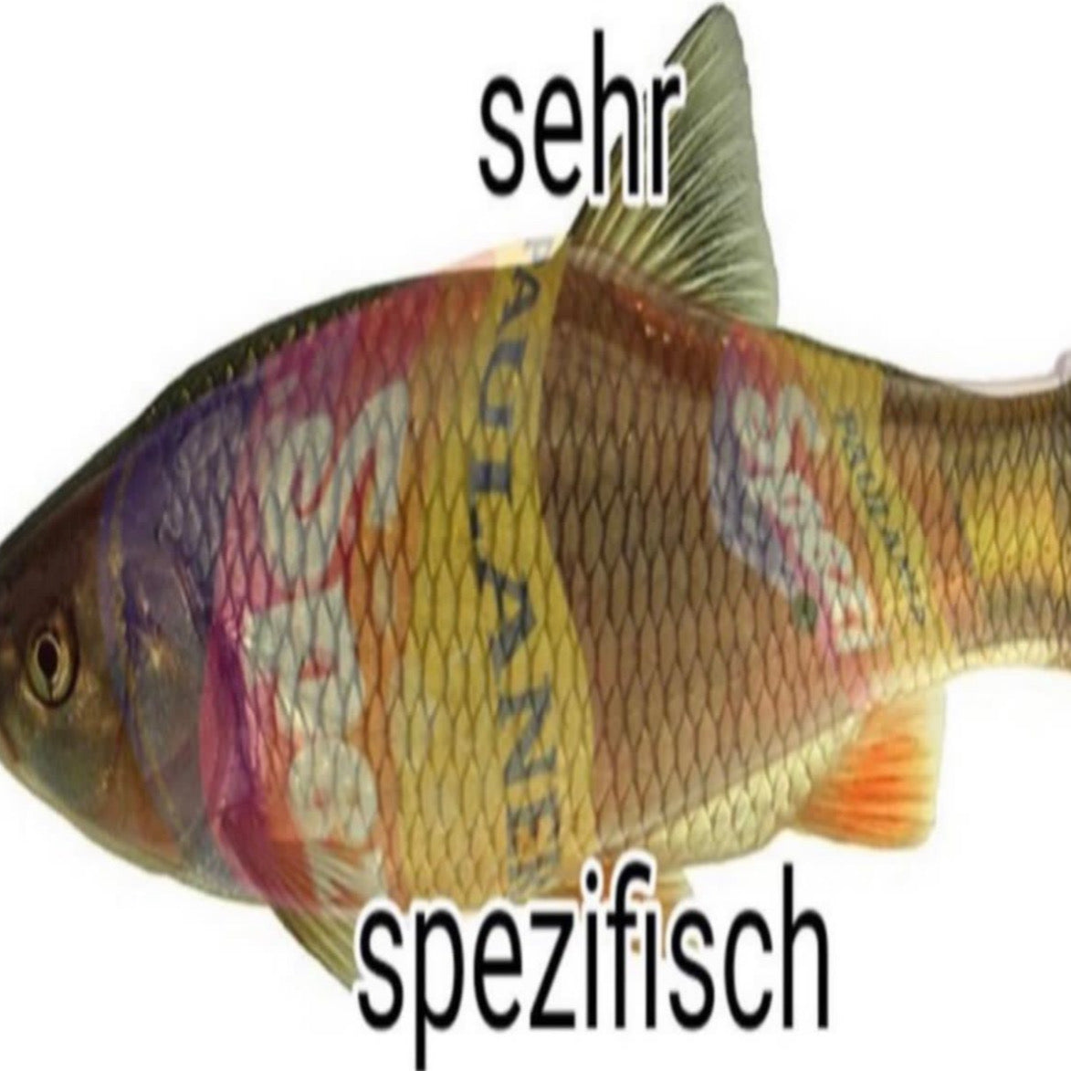 spezifisch🐟