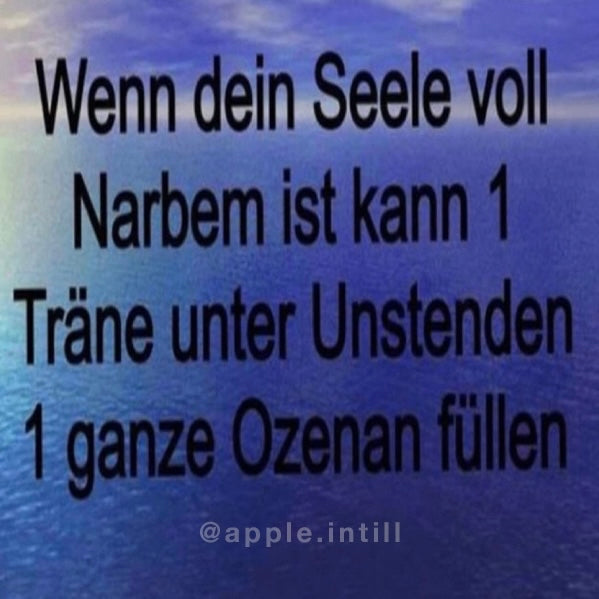 SEELE MIT NARBEN