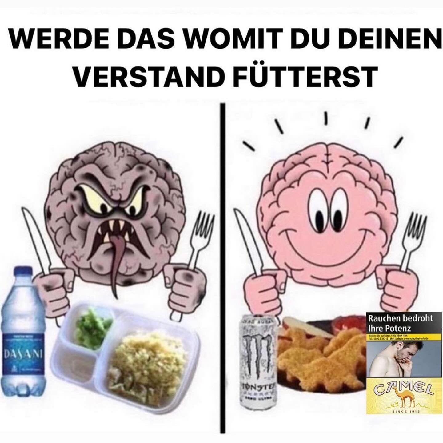 VERSTAND FÜTTERN