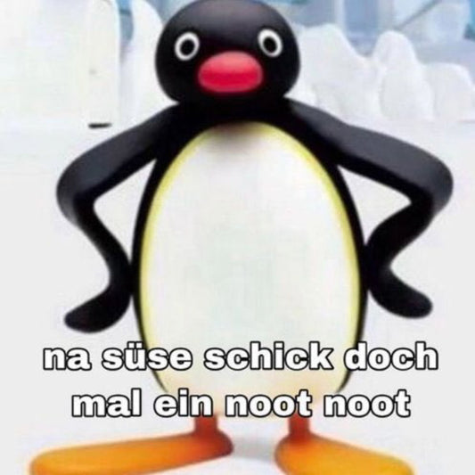 NOOT NOOT