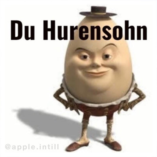 DU HURENSOHN EI