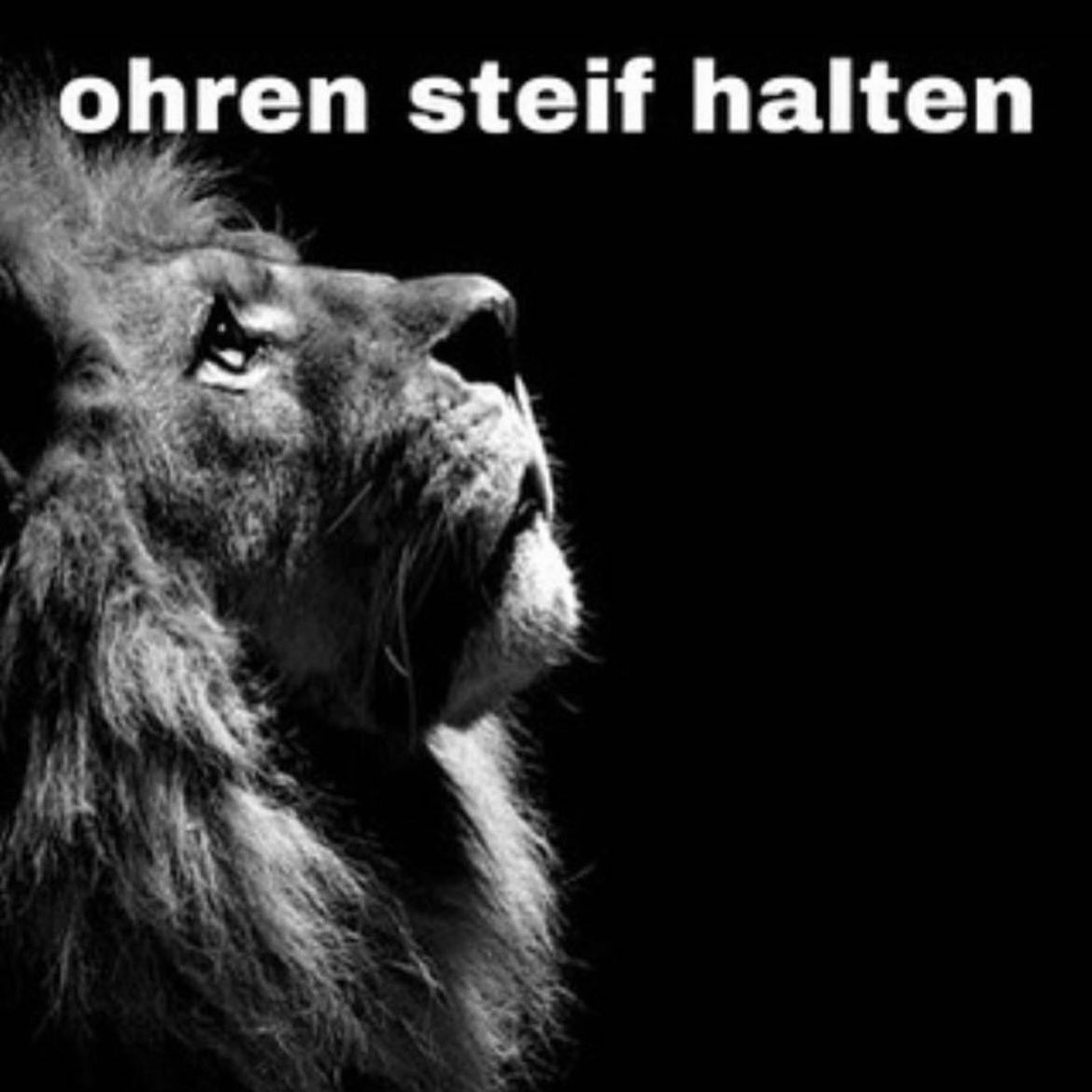 OHREN STEIF HALTEN